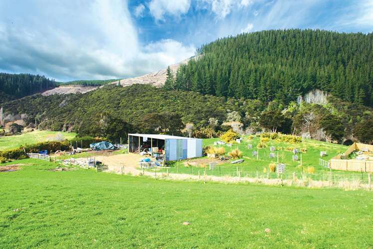 149 Silverstream Valley Road North Taieri_13