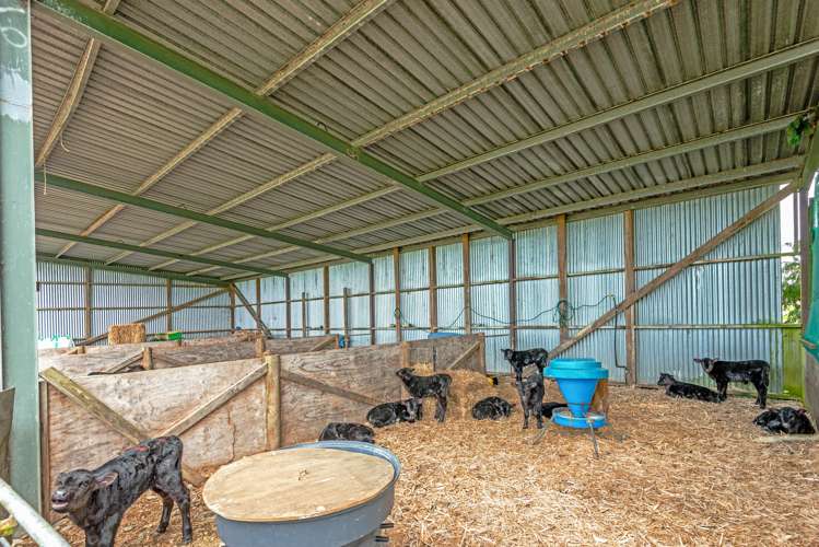 163 Makoura Road Apiti_14