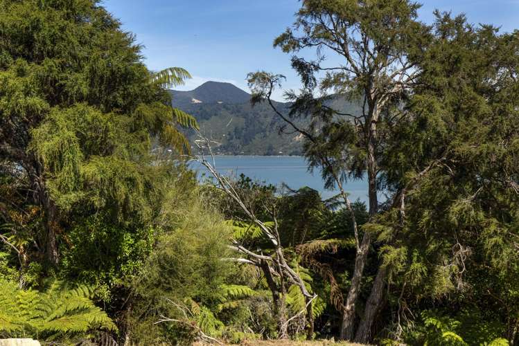 Lot 42 Kaiuma Bay Road Kaiuma Bay_24
