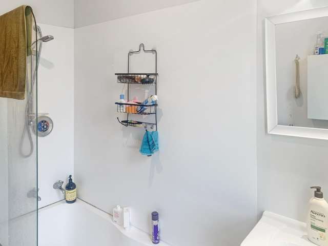 13 Cameron Street 10001_4