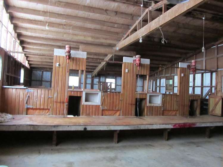 25 Keenan Road Tuatapere_9