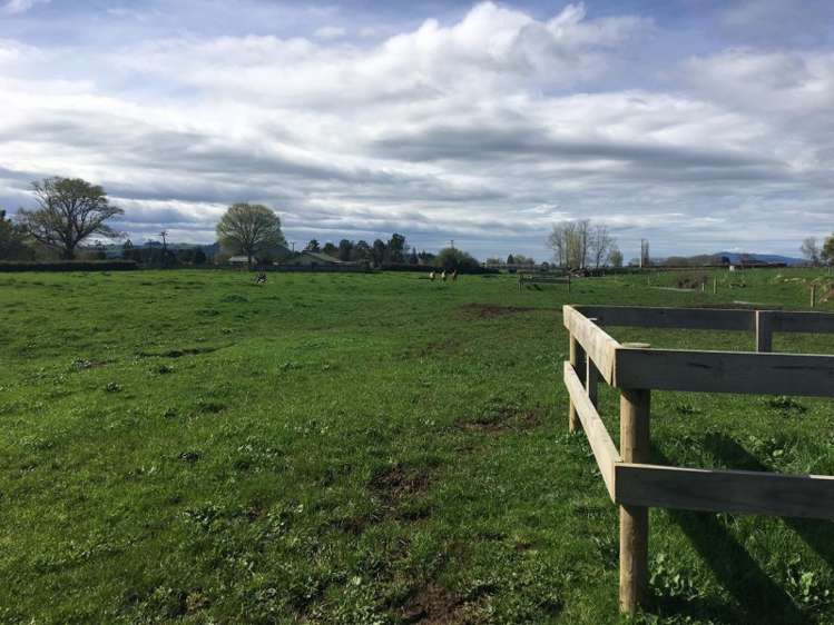 102 Platt Road Tauwhare_9