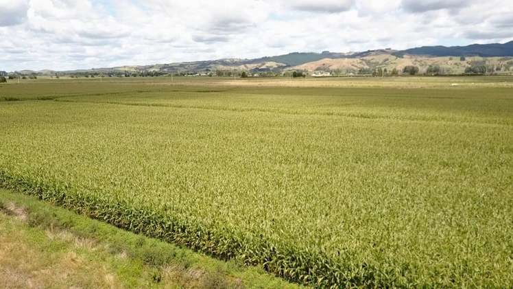 124 Tramline Road Patetonga_0