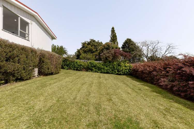24A Judea Road Judea_20