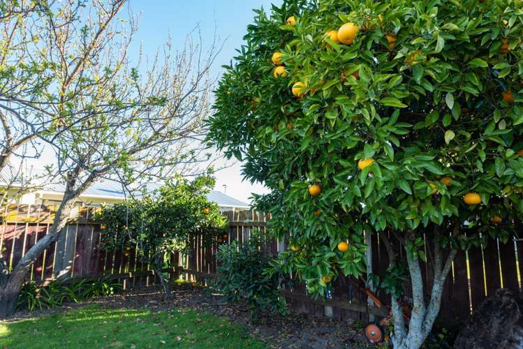 6 Rudd Crescent Redwoodtown_12