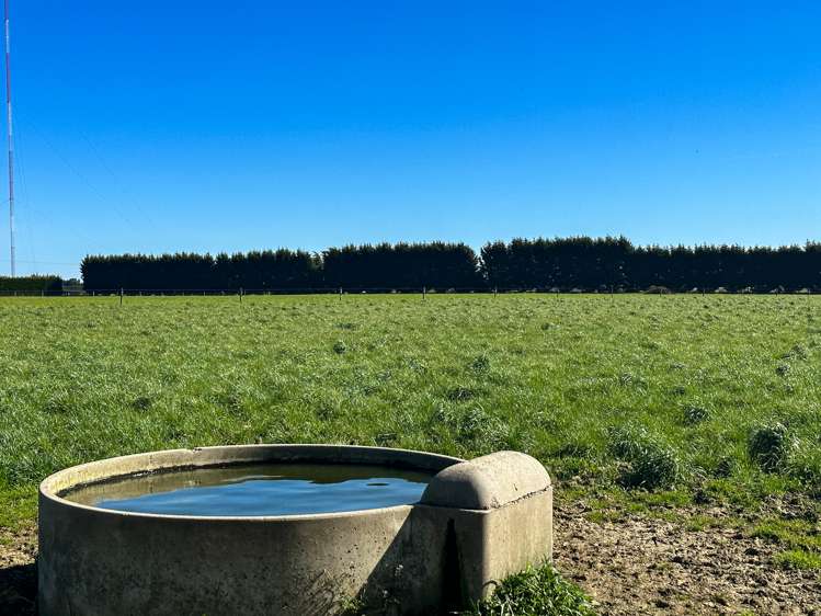 793 Edendale Woodlands Highway Winton Surrounds_8