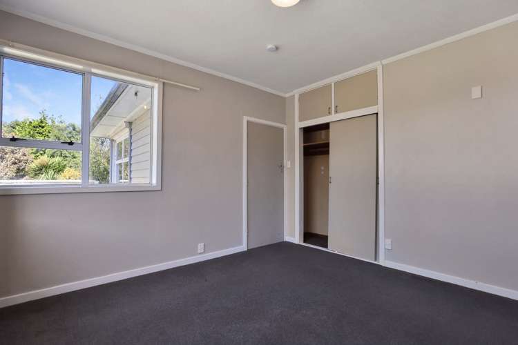 56 David Street Hinds_11