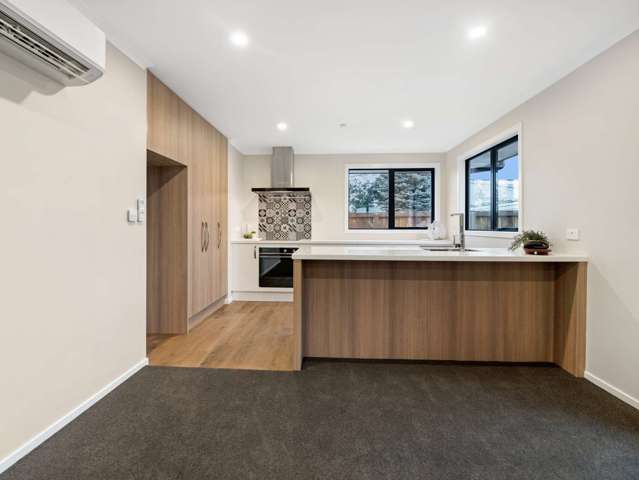 164a Chalmers Ave Ashburton_4