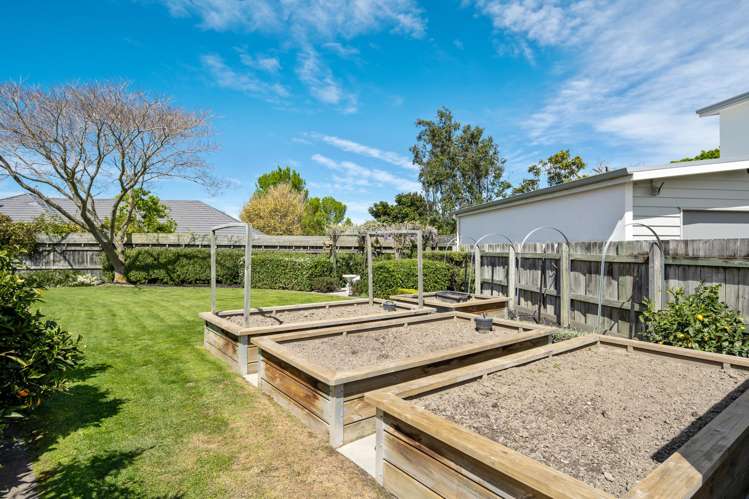 9 Fuchsia Place Springlands_18