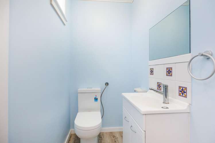 24 Rainforth Street Roslyn_15