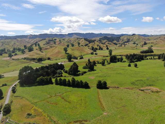 168 Matiere Road Aria_3