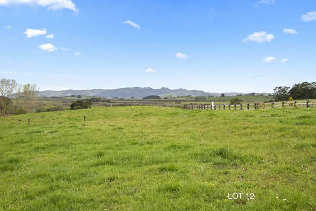 54 Moorfield Road Te Kauwhata_4