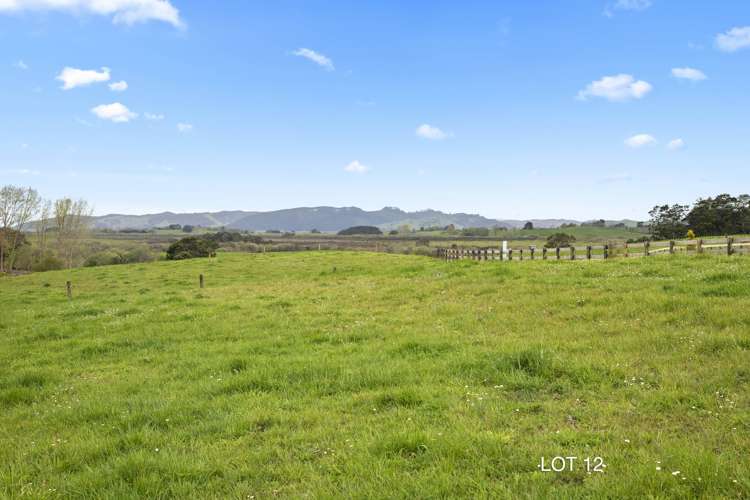 52 Moorfield Road Te Kauwhata_4