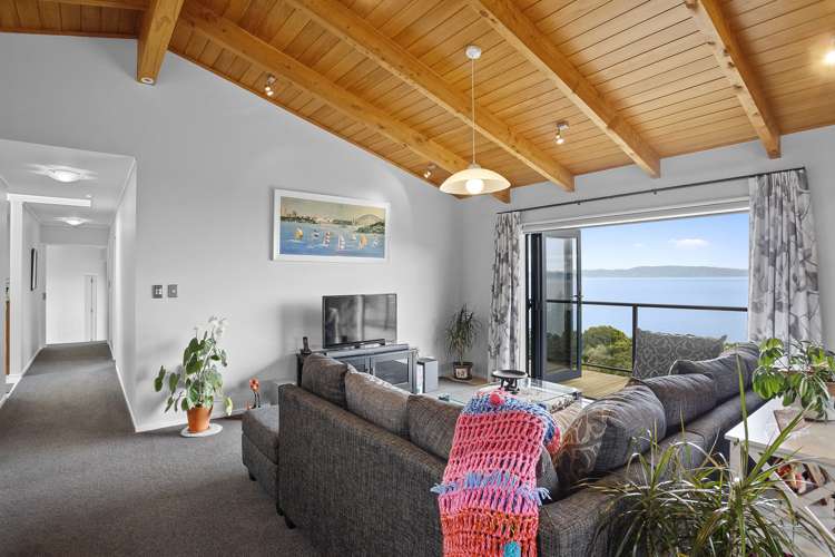 22a Springfield Avenue Ngarimu Bay_6