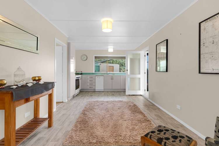 17 Shipherd Road Puni_25