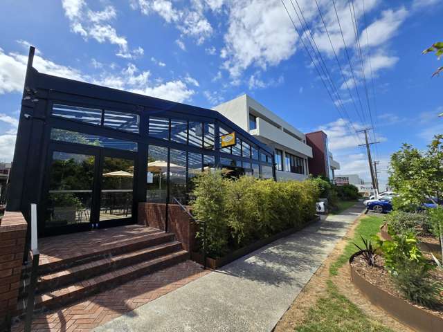 173 Captain Springs Road Onehunga_1