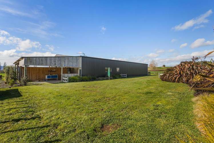 238 Puketutu Road Matamata_18