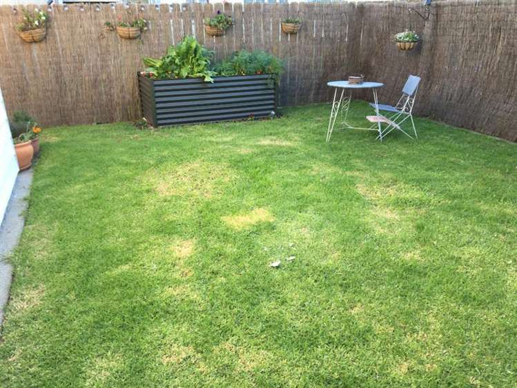 3/23 Stewart Street Whakatane_2