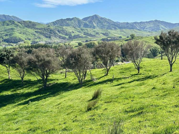 Lot 6 DP 409779 Gaddums Hill Road Outer Kaiti_5