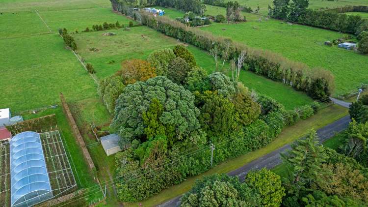 280 Kimberley Road Levin_29