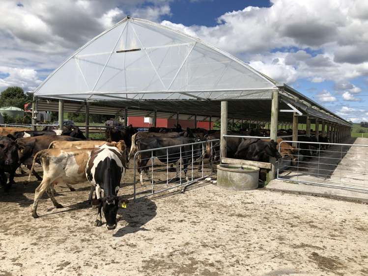 254 Somerville Road Tapapa_9