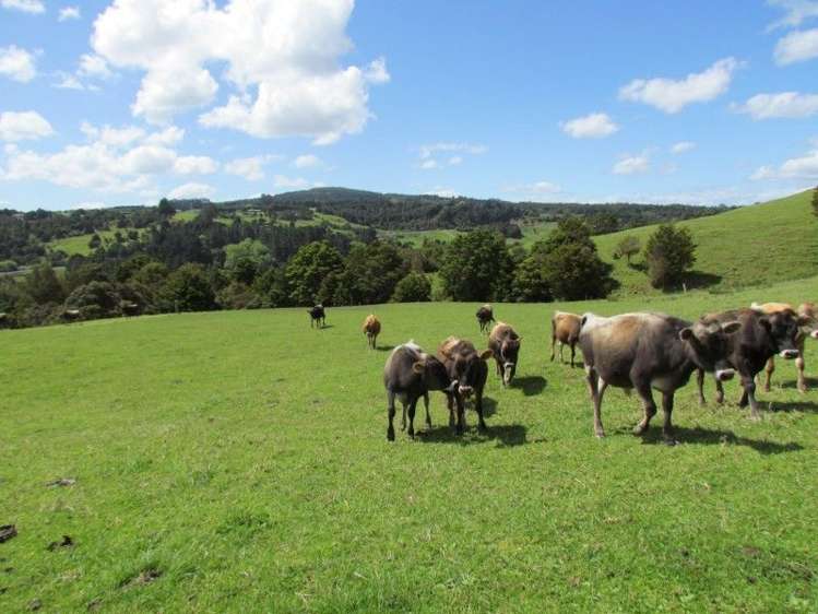 1871 State Highway 14 Mangapai and Surrounds_13