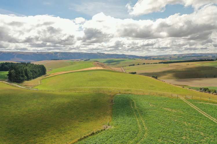 686 Rocky Gully Road Albury_10