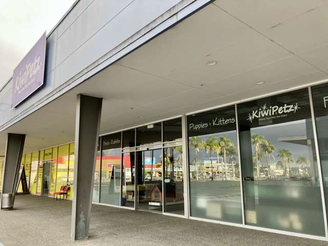 T30A, 223-233 Fraser Street Tauranga South_2