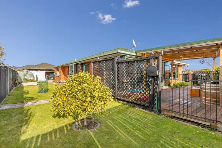 203b Maxwell Road Redwoodtown_16