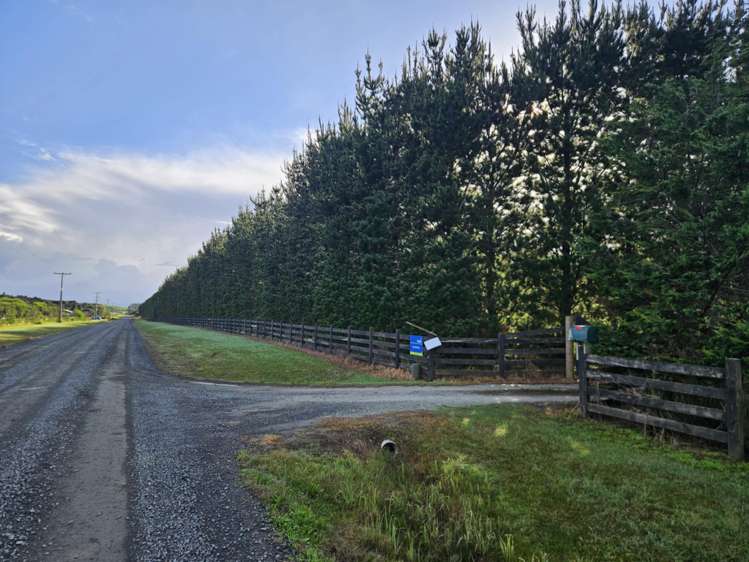 Heath Road Waiharara_7