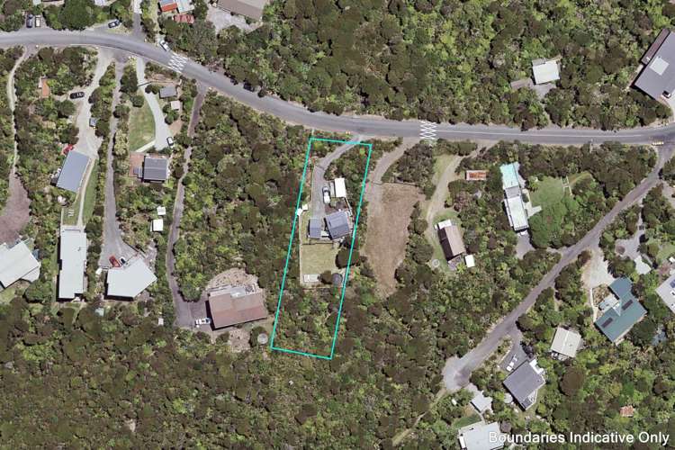 8 Log Race Road Piha_18