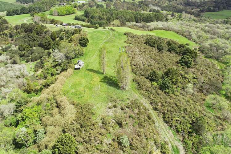 242 Punga Punga Road Pukekawa_7