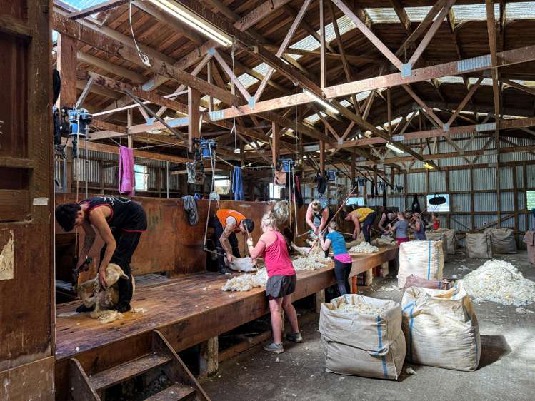 109 Affleck Road Castle Downs_11