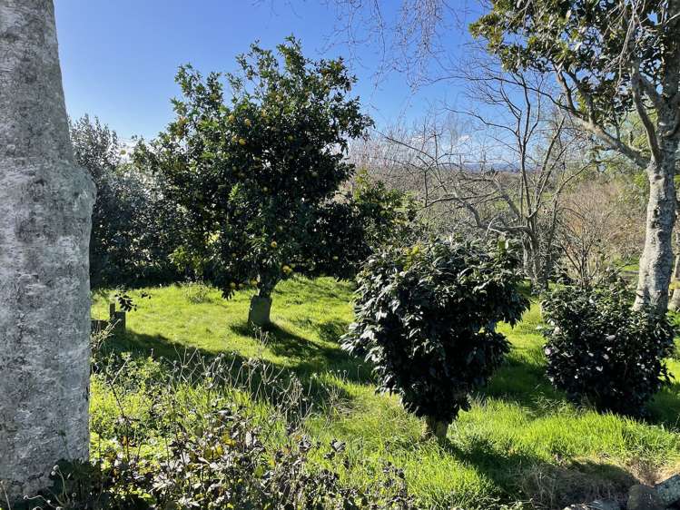 535 Hangawera Road Morrinsville_1