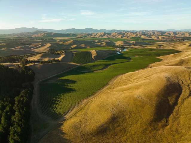 217 Caseys Road Seddon_3