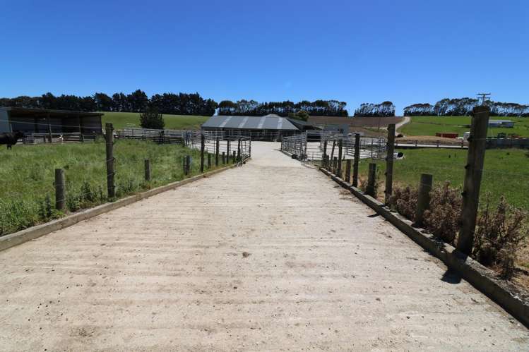 878 Downs Road Edendale_10