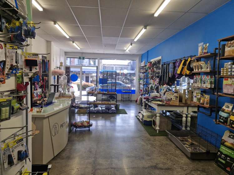 51 Alexandra Street Te Awamutu_1
