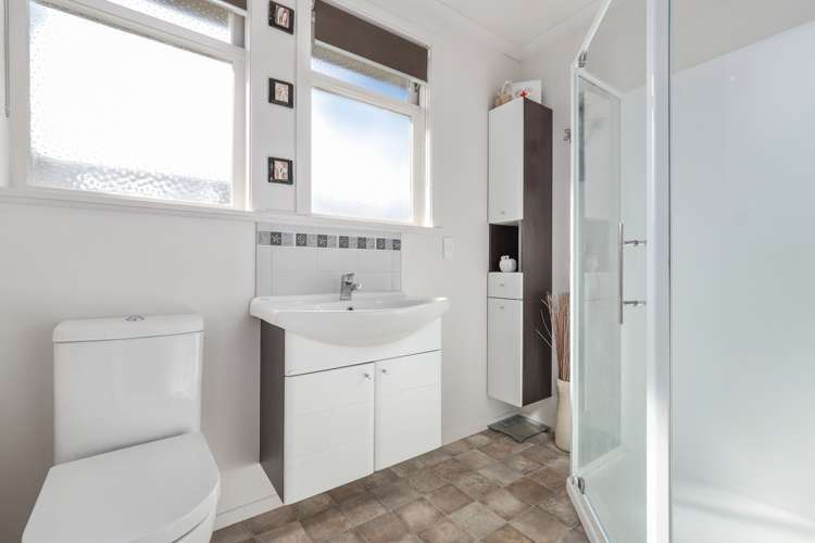 21 Goodwin Avenue Morrinsville_6