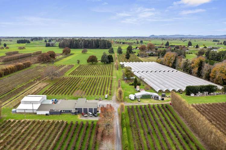 1972 Te Rahu Road Te Awamutu_30