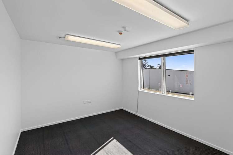 35A Kennaway Road Hillsborough_17