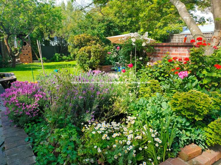 43 Opawa Road Waltham_25