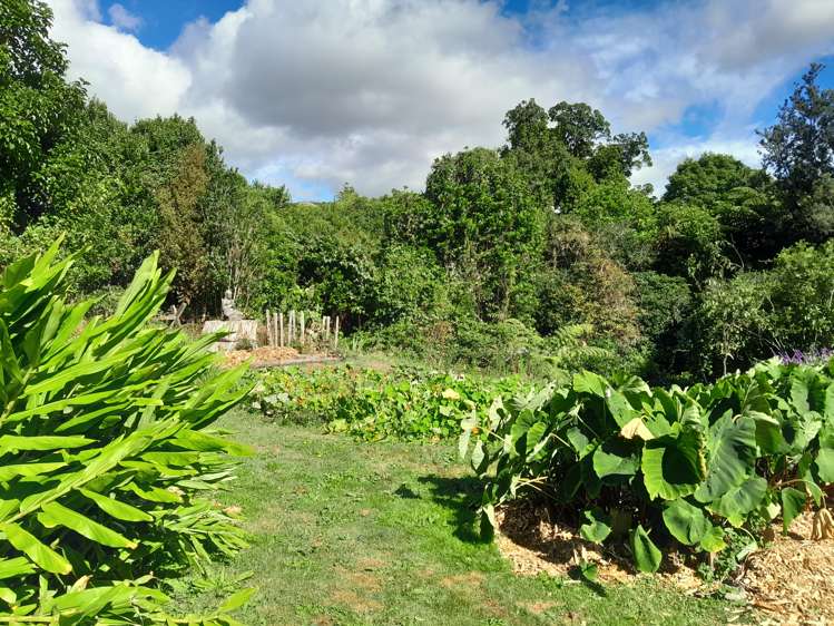 733 Otaki Gorge Road Otaki_17