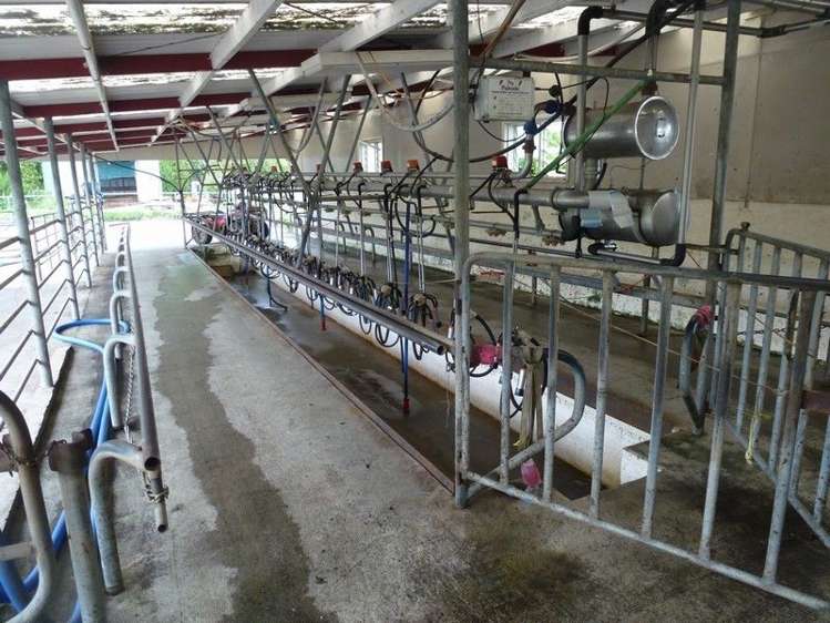 1265 Mountain Road Inglewood_3