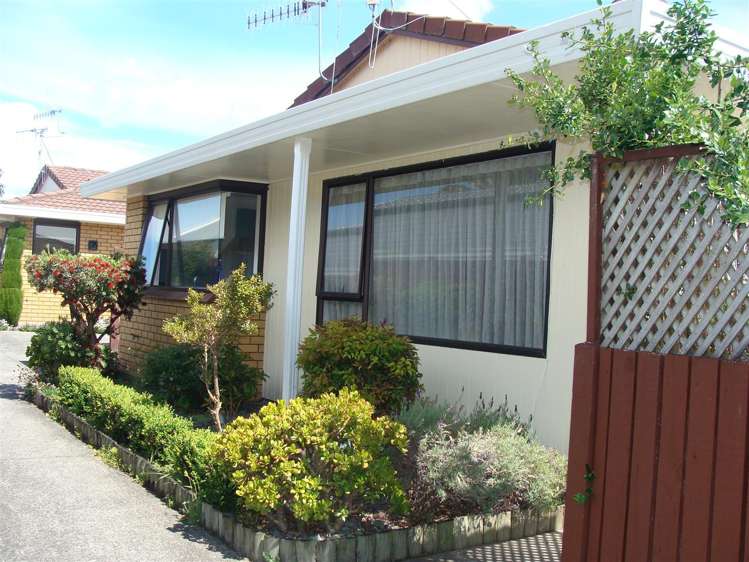 2/478 Devonport Road Tauranga South_0