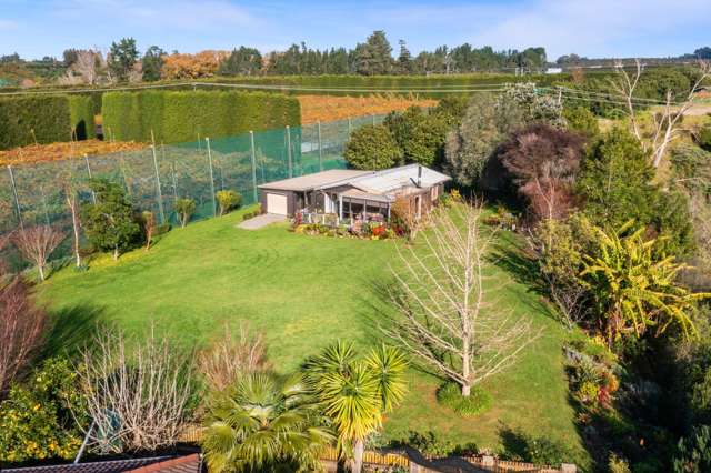 3 Donelle Place Te Puke_2