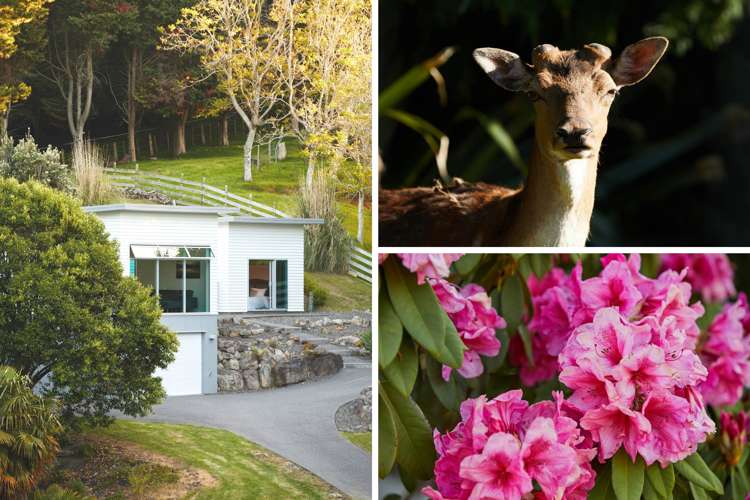 18 Flight Valley Way Welcome Bay_9