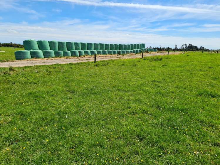 1384 Ihaia Road Opunake_17