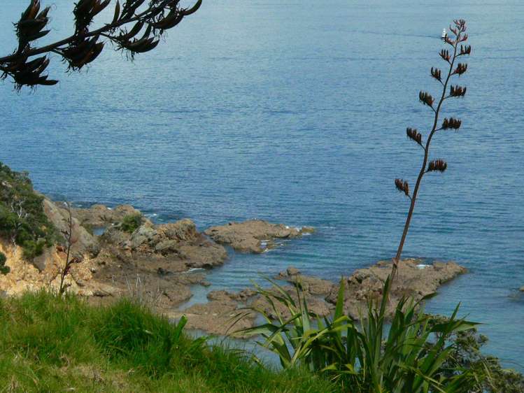 30 Woody Bay Road Rakino Island_5