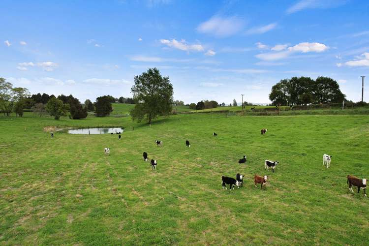 18 Rangiaowhia Road Te Awamutu_22