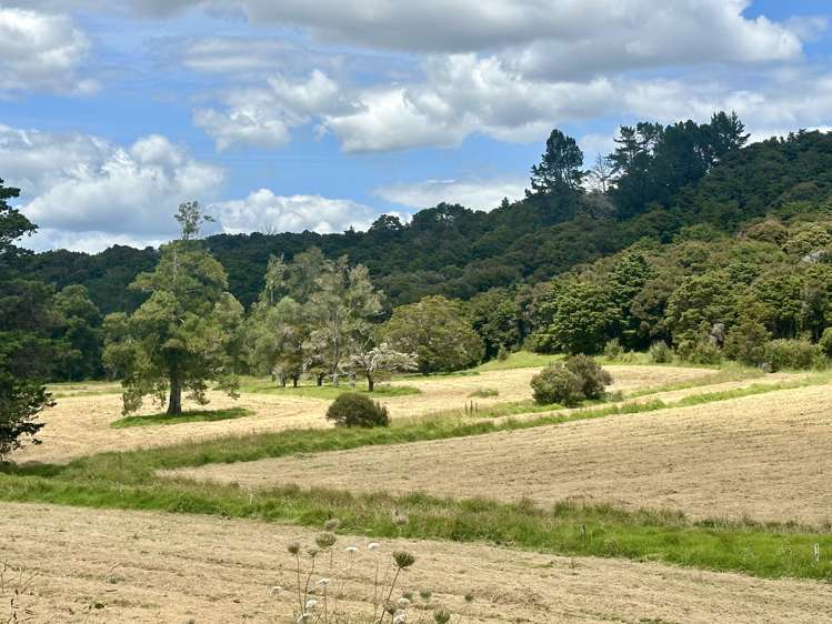 Lot 3 Waiotoi Road_3